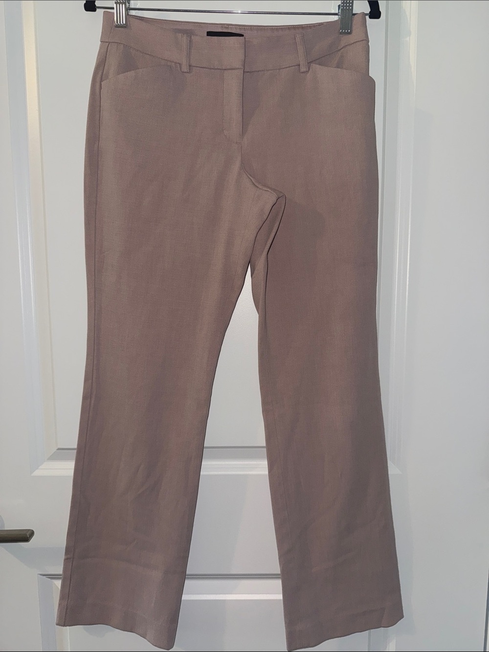 Express Editor Barely Boot Low Rise Dress Pants